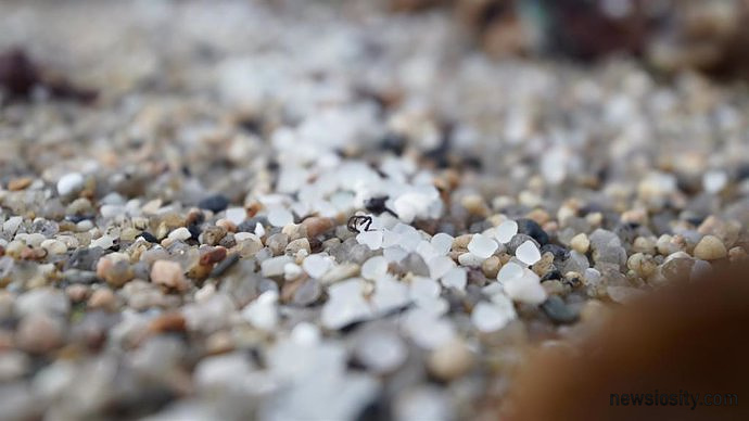 Das Ozeanographische Zentrum der Balearen warnt vor der Plastikmenge im Meer: „Es ist besorgniserregend, dass sie nicht abnimmt“