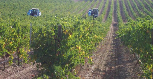 Itacyl beteiligt sich an einem europäischen Projekt zur Verbesserung der Weinlandschaften