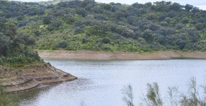Die Dürrekomitees mehrerer andalusischer Provinzen werden nächste Woche nach den jüngsten Regenfällen ihre Lage bewerten